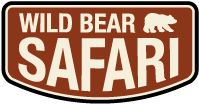 Wild Bear Safari
